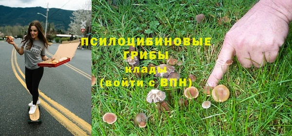 mdpv Арсеньев