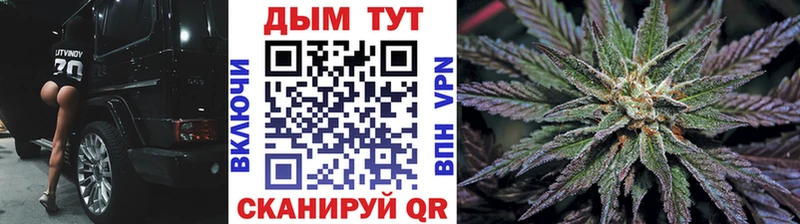где можно купить наркотик  мега онион  Бошки Шишки THC 21%  Камбарка 